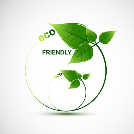 Which Eco-Friendly Termite Treatment Works Best? 