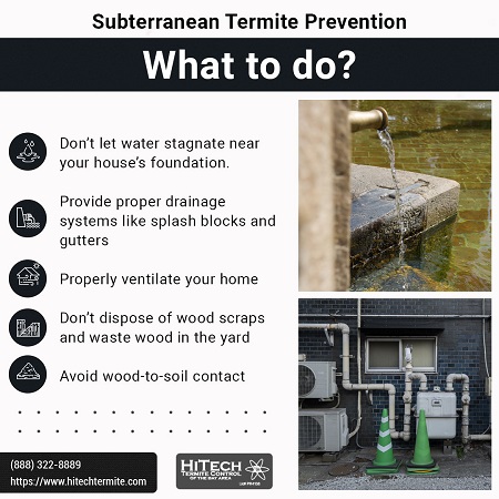 Subterranean Termite Prevention