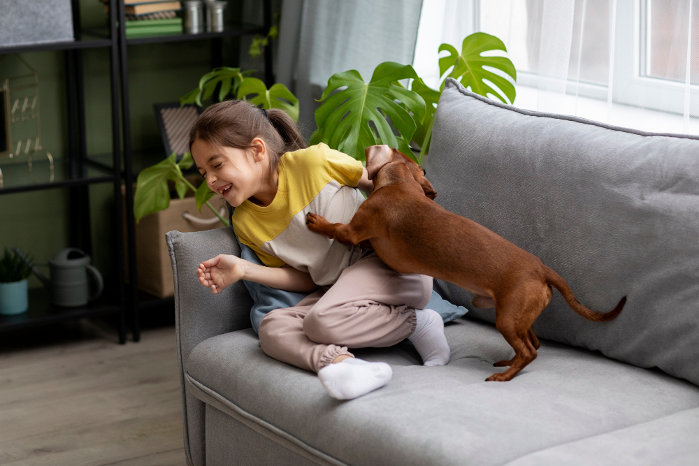 Child & Pet-Safe Termite Treatment Options in the Bay Area