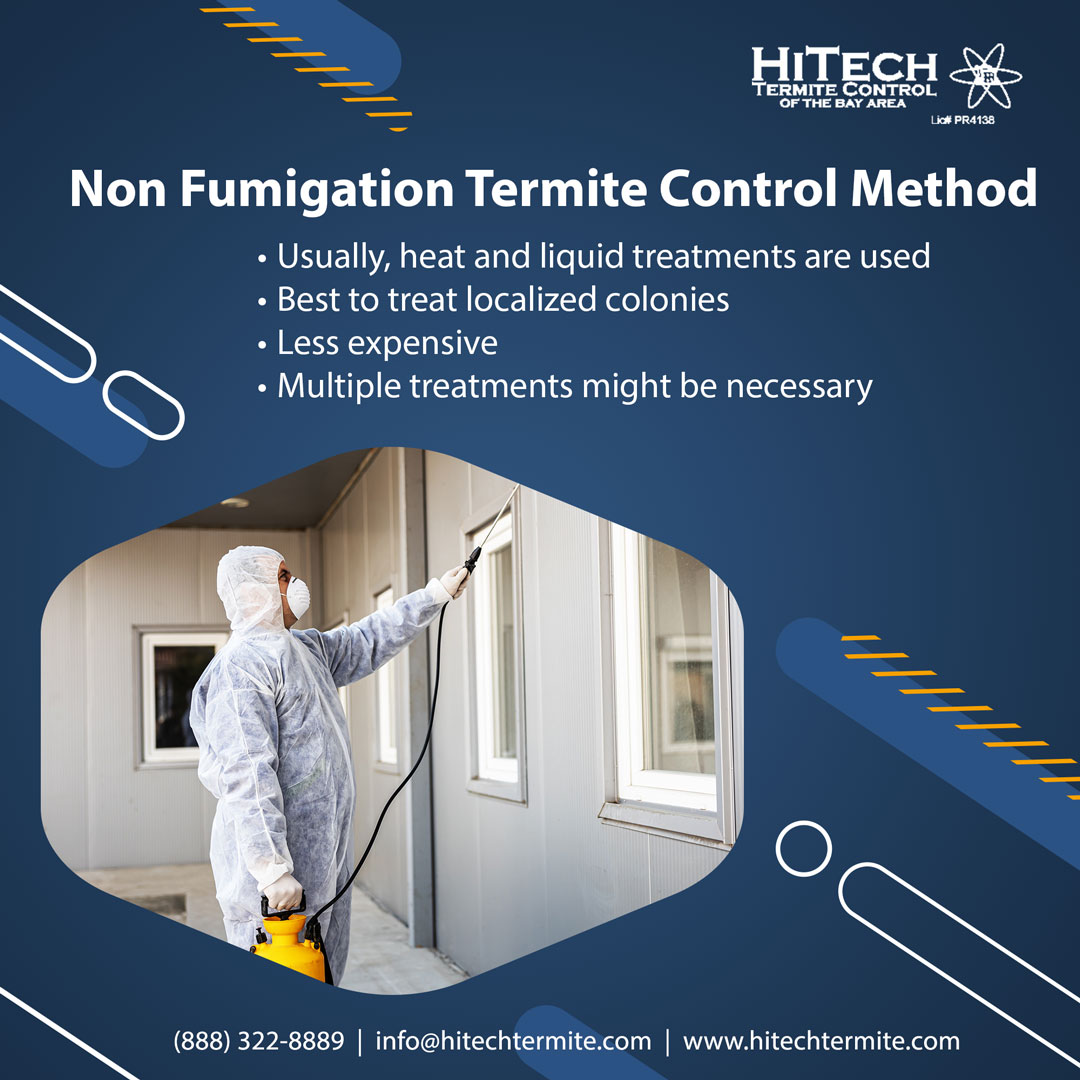 Fumigation Termite Control