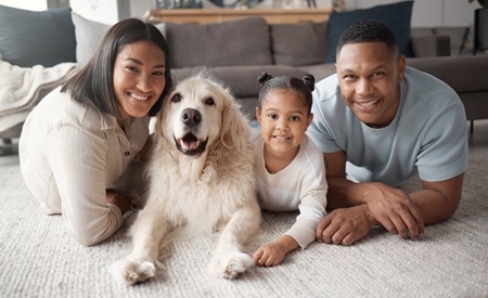 10 Smart Ways to Prevent Termites 