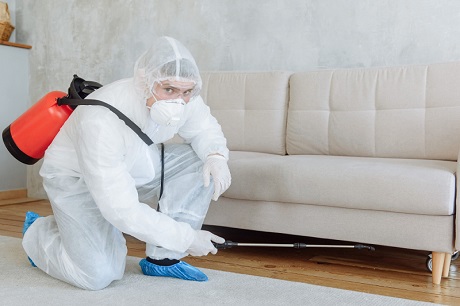 Before and After a Fumigation Termite Treatment