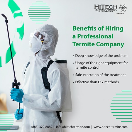 Benefits of Hiring a Professional Termite Company
