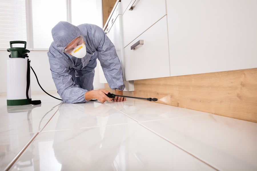 Fumigation services in Bay Area