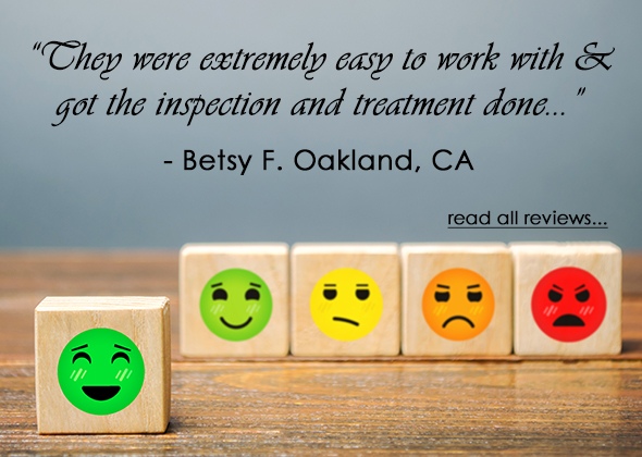 Client Review - Betsy F - Oakland, CA