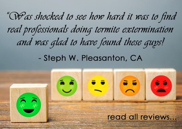 Client Review - Steph W Pleasanton, CA